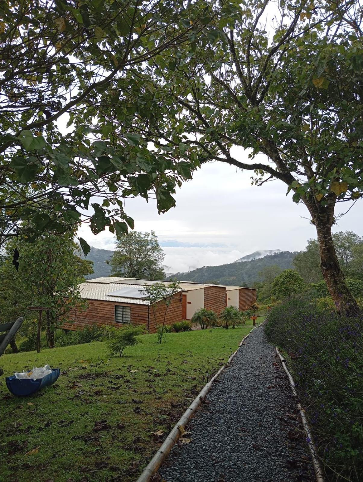 Lodge San Felipe Lodge. Birding And Wellness *