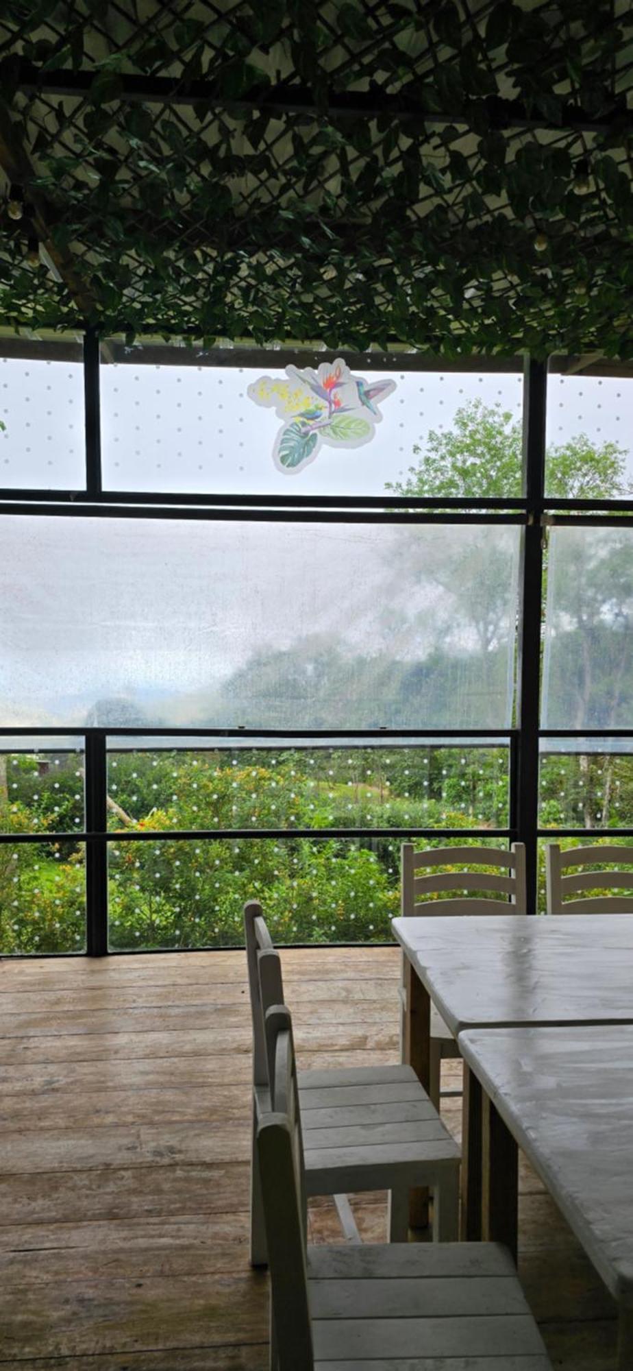 Lodge San Felipe Lodge. Birding And Wellness Cali