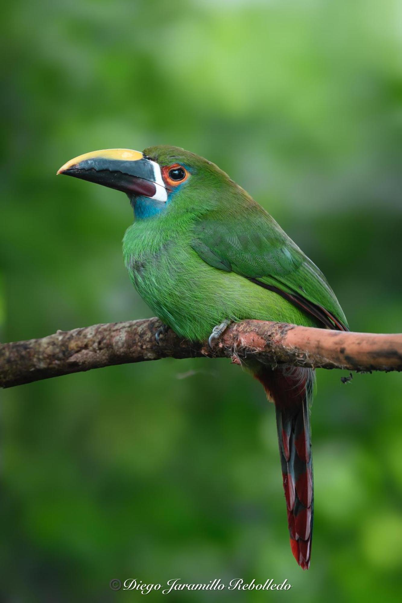 San Felipe Lodge. Birding And Wellness Lodge *