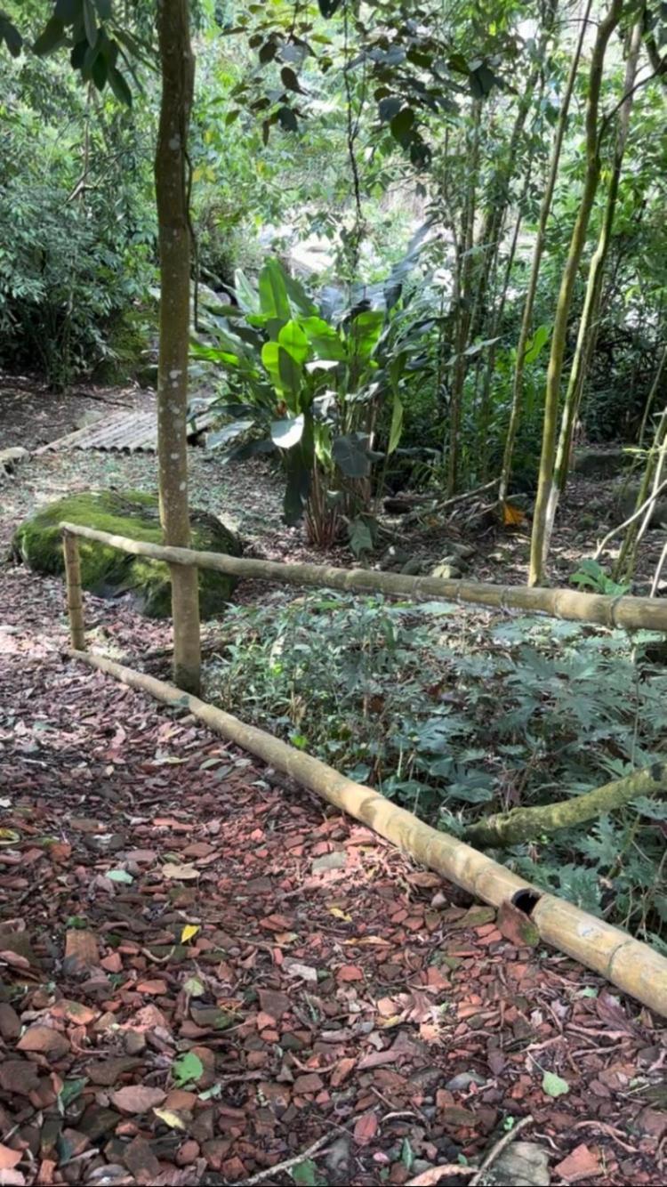Camping Rio Pance Cali