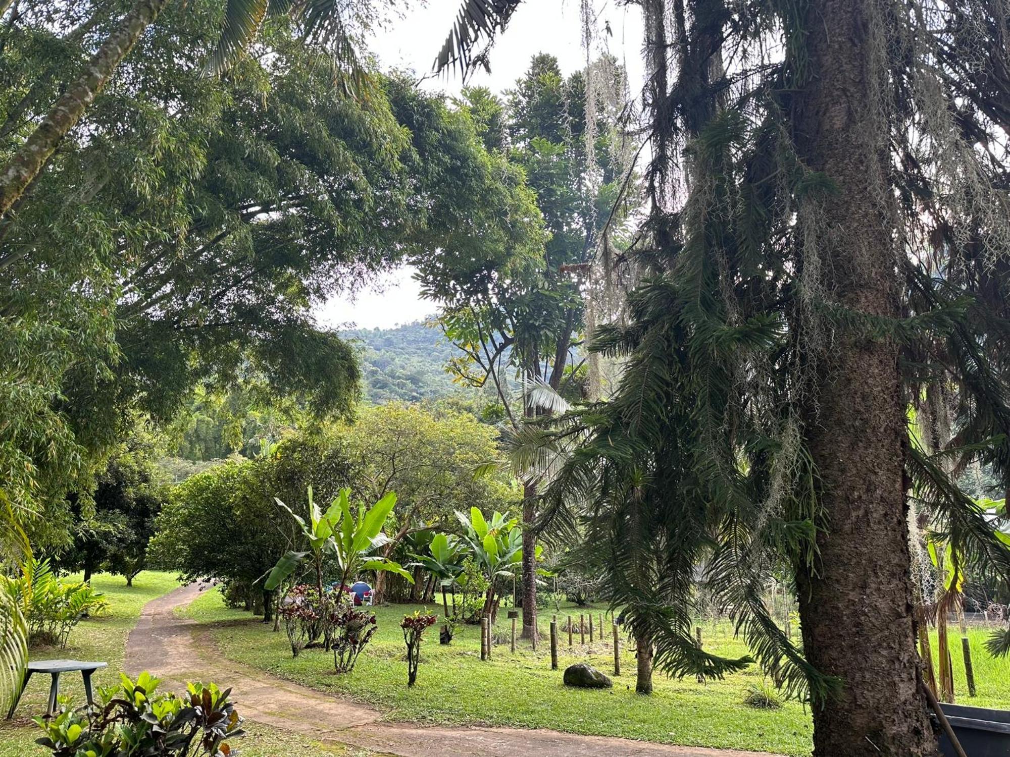 Rio Pance Camping Cali