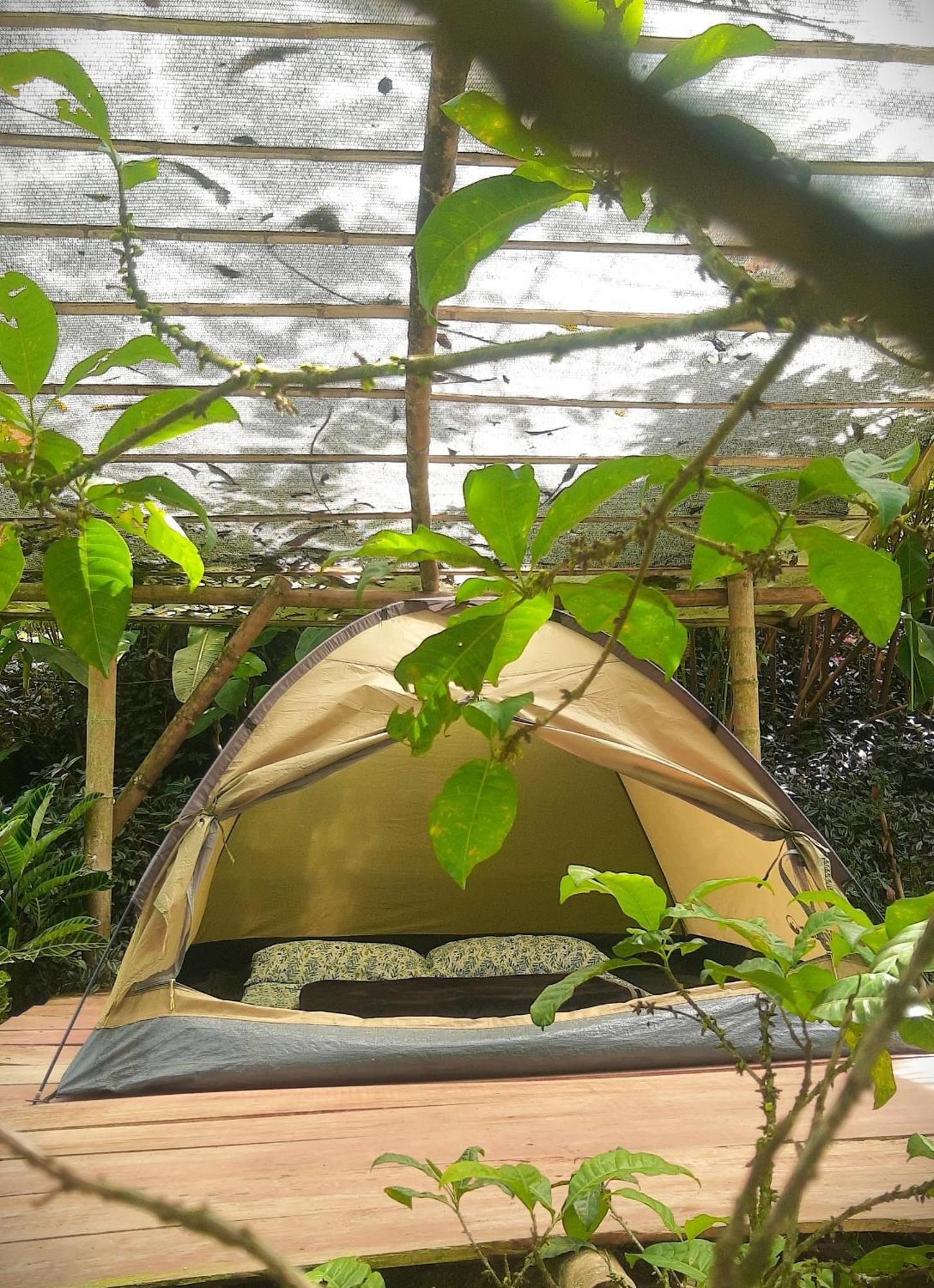 Camping Bosque Colibri