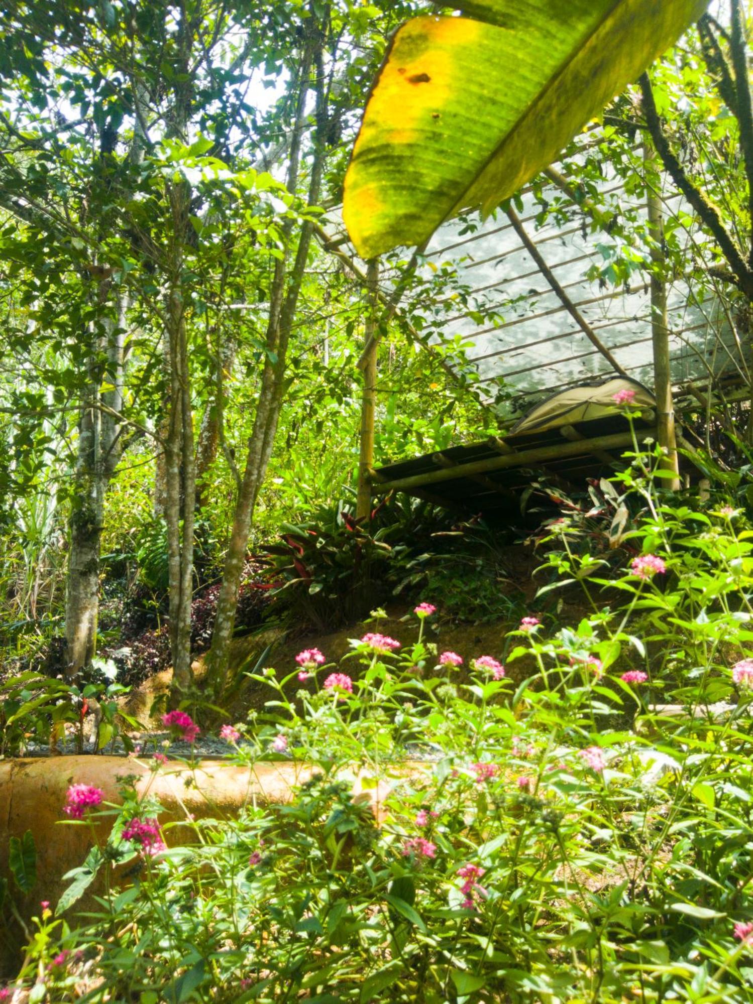 Camping Bosque Colibri *