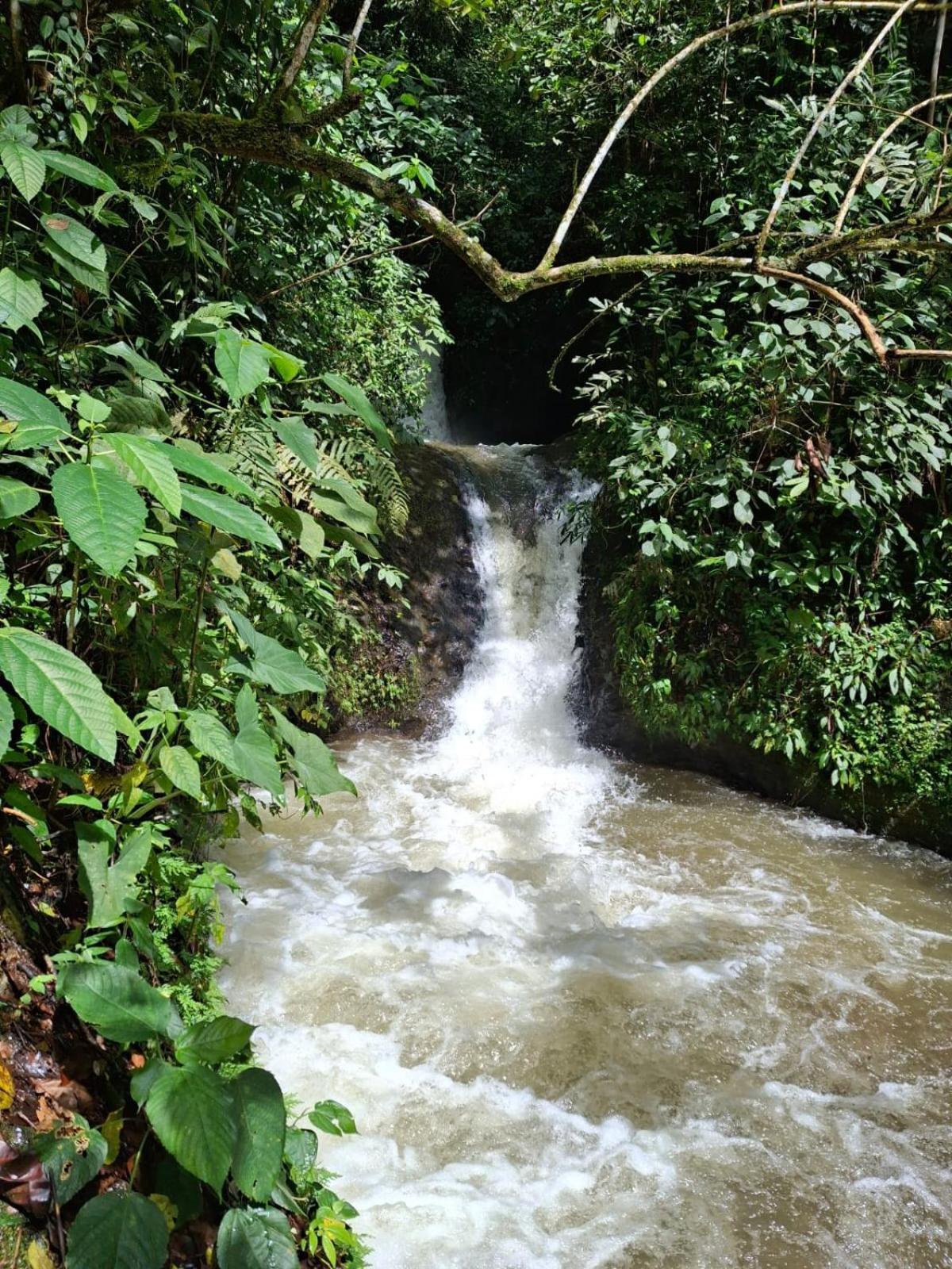 Campsite Glamping Montana De Suenos *