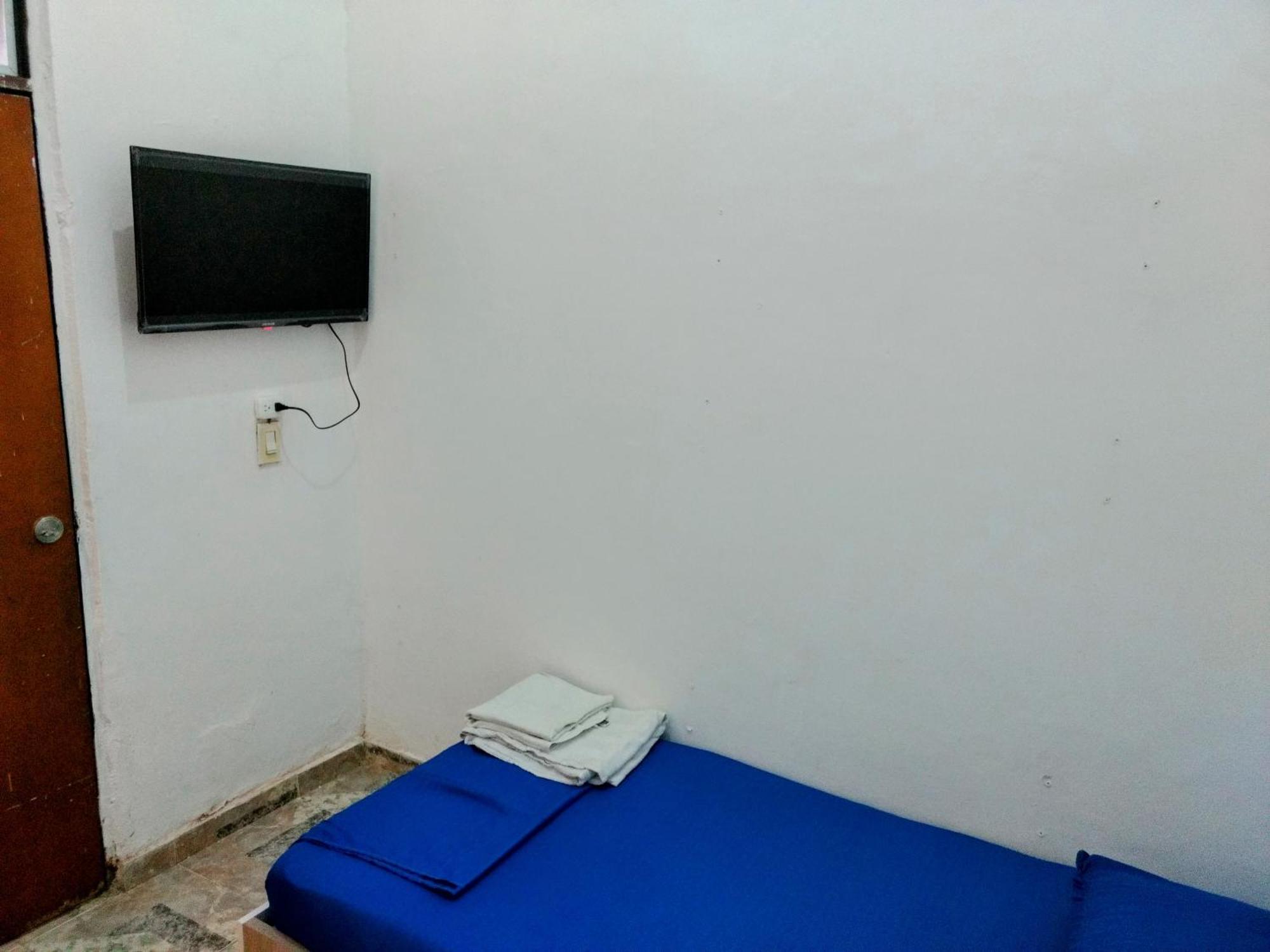Homestay Casa Del Perro Coliving 2