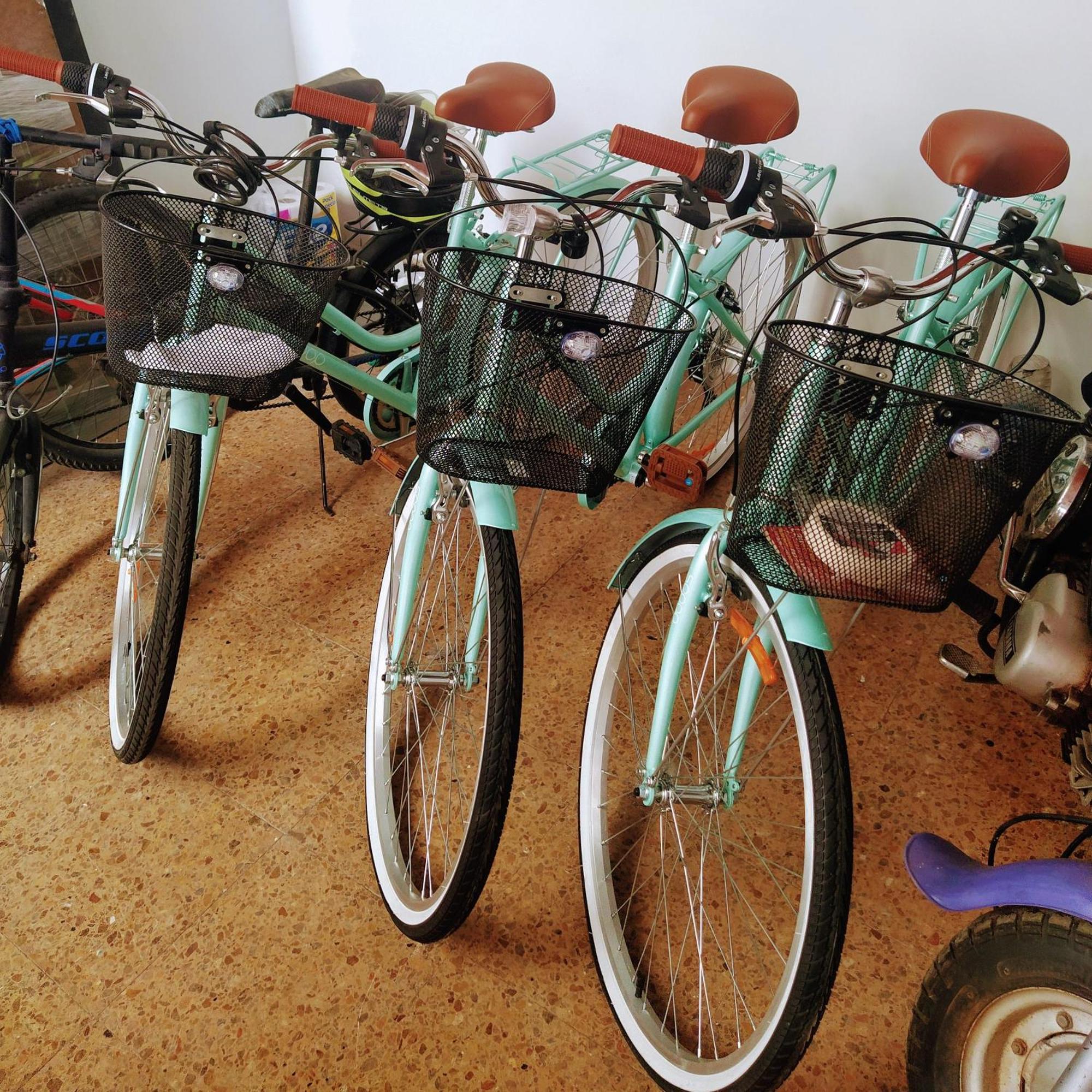 Casa Del Perro Coliving 2 Homestay