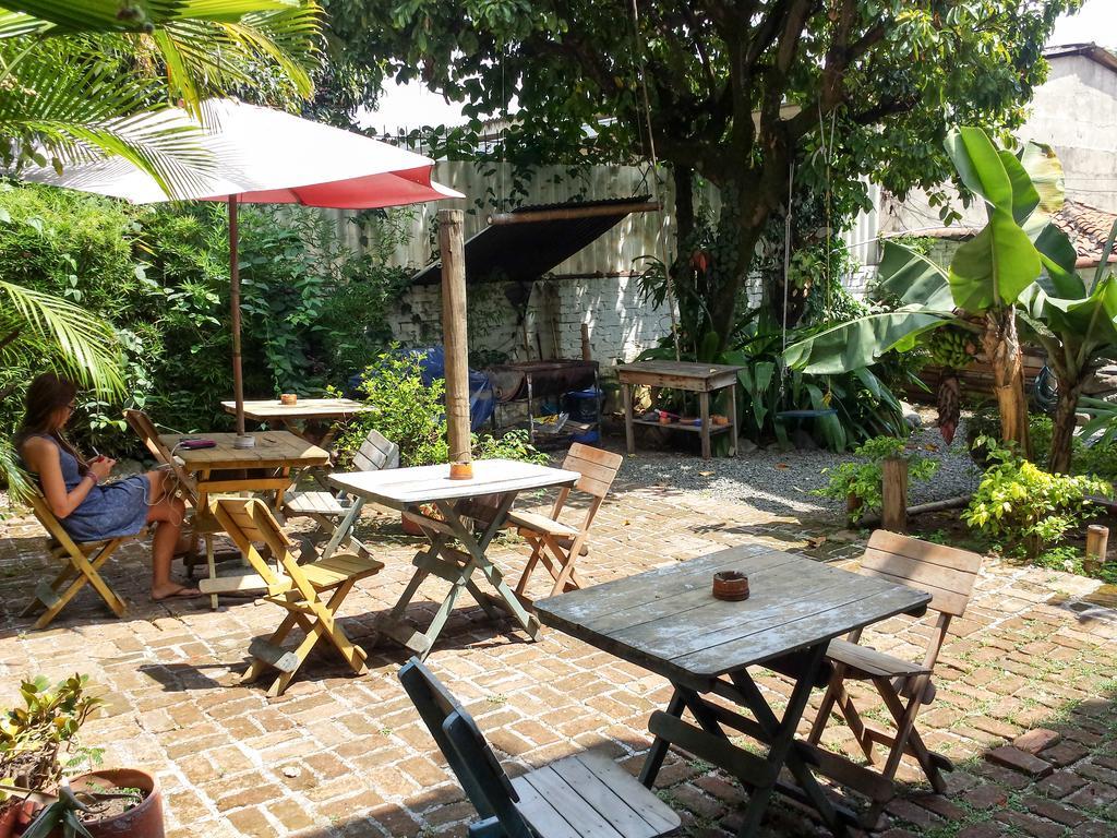 Guest house Iguana *