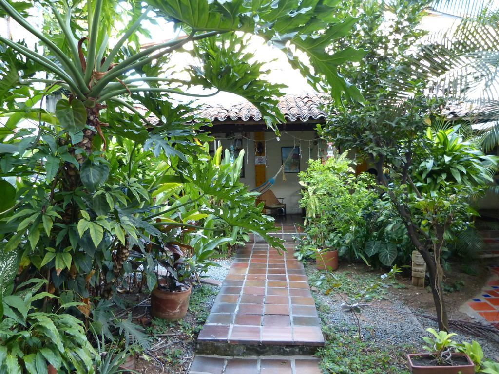 Guest house Iguana *