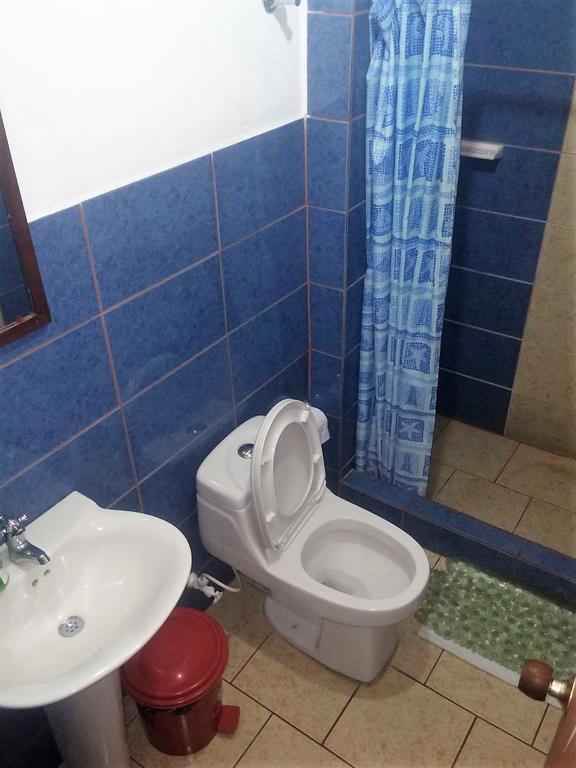 Guest house Iguana *