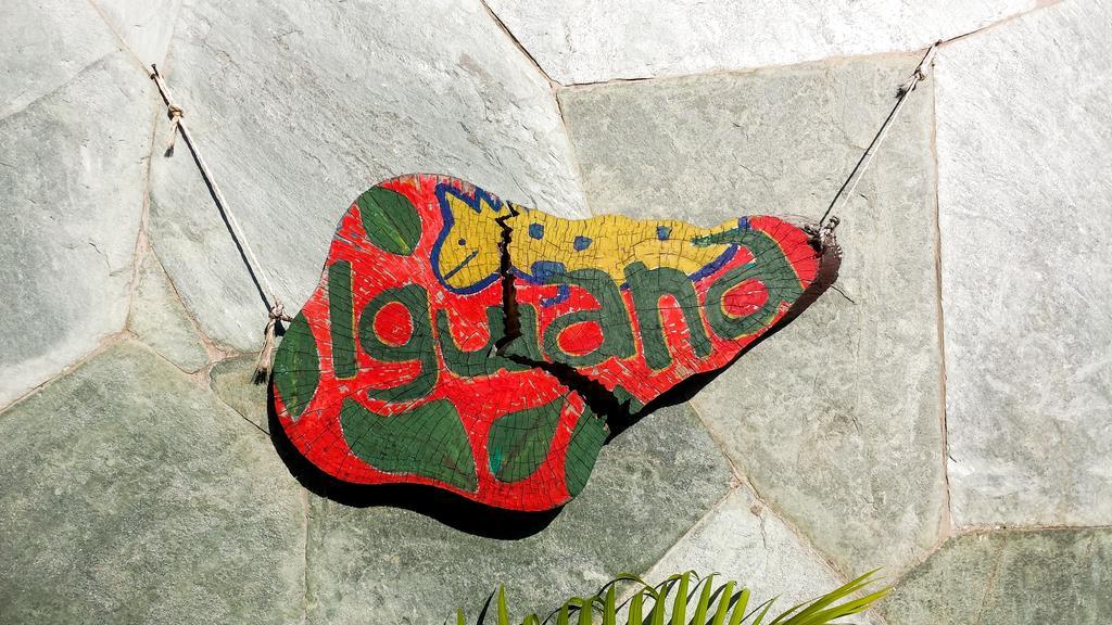 Iguana