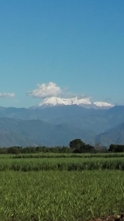 La Pizzarra Cali
