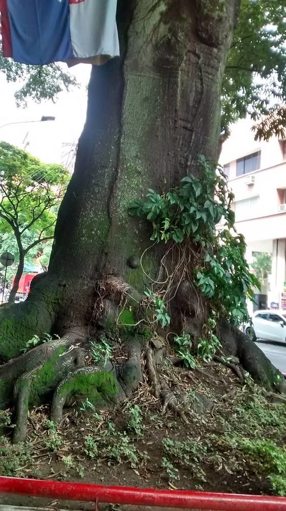 Ribera Del Rio Av 6Ta Norte 3* Cali