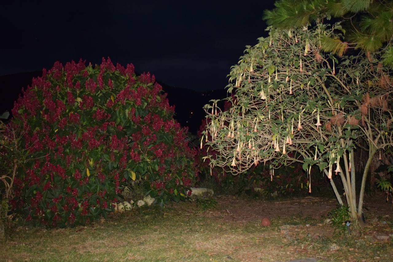 Campestre Viento Rico Hostel Cali
