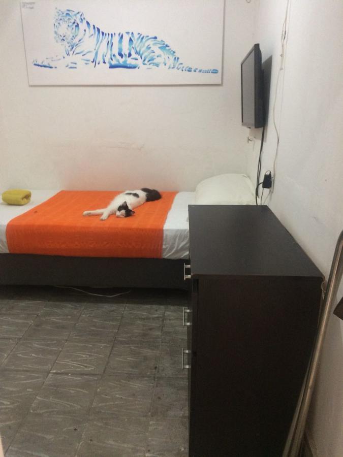 Zanahoria Pensión Cali