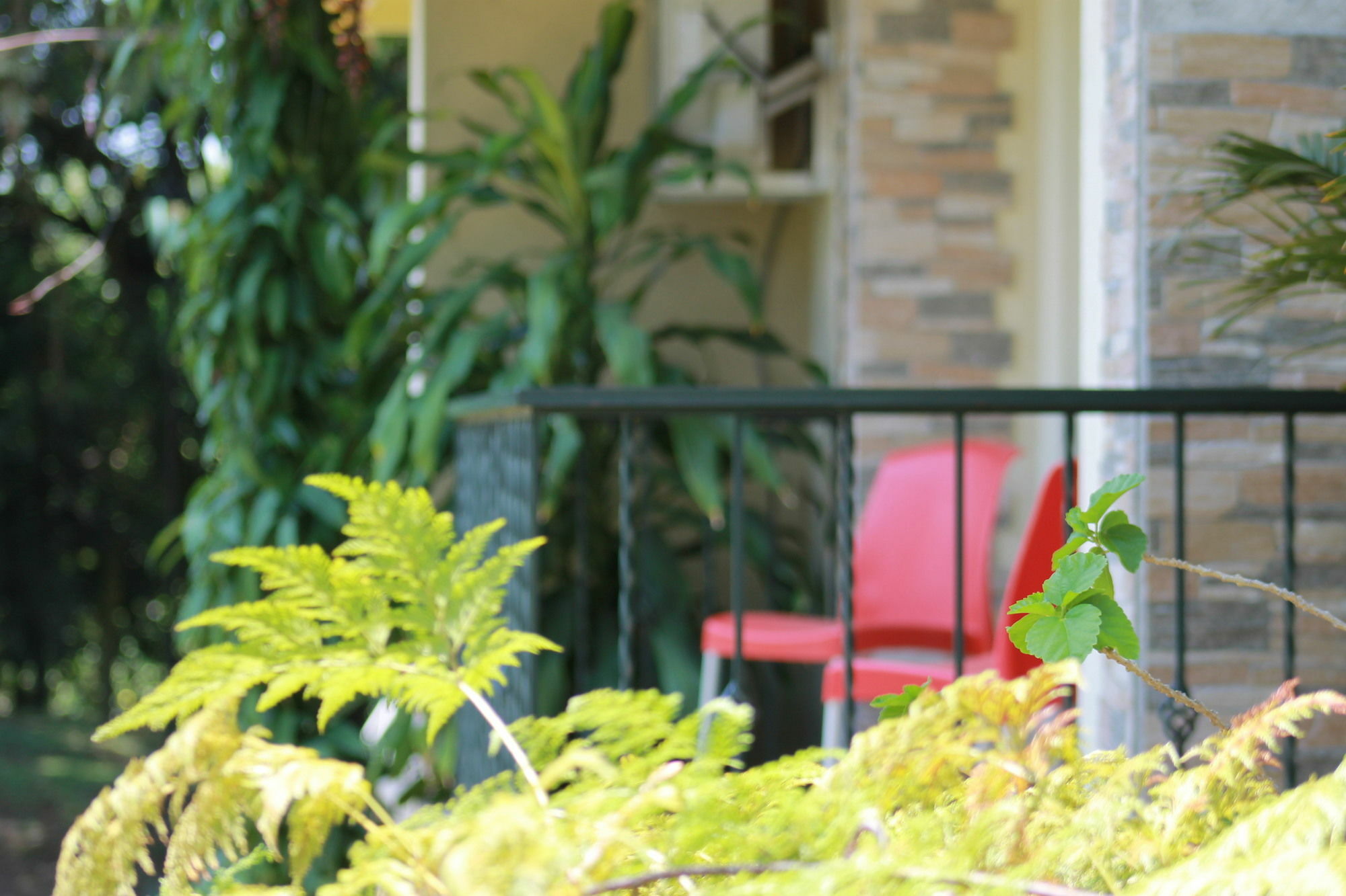 Campestre Santa Monica Pance 4*