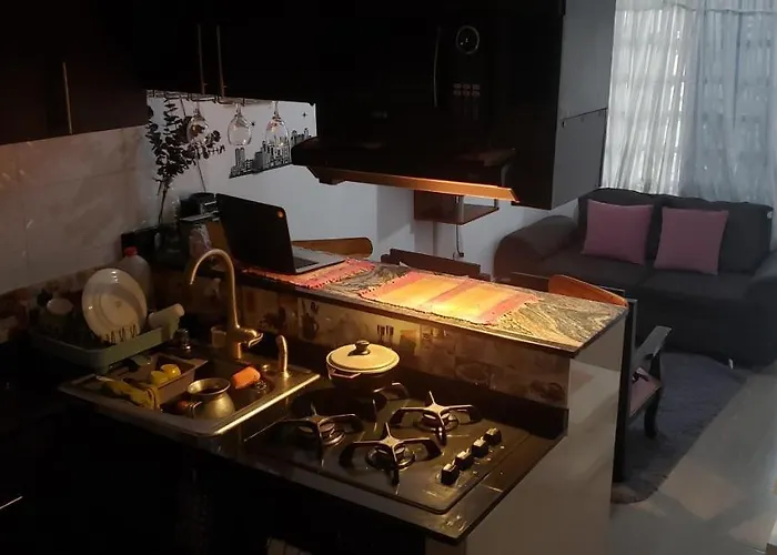Aparta-Estudios Alf