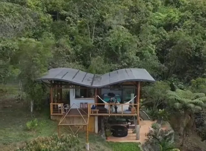 Luna Nueva Eco