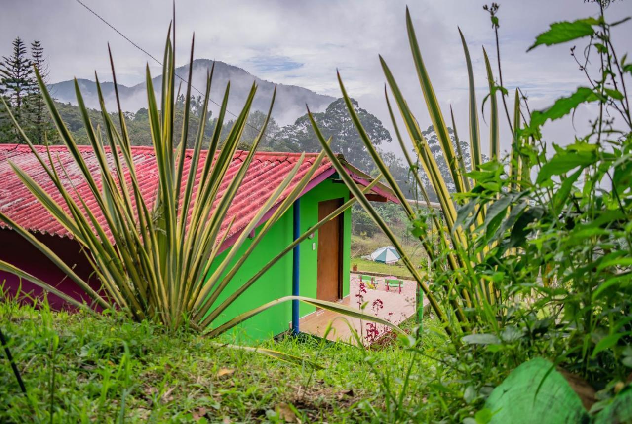Del águila Hotel Cali