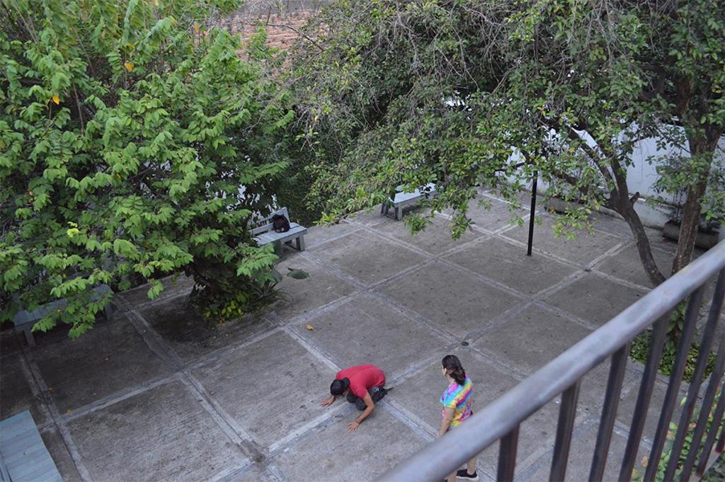 Fundación Casa De Mono *