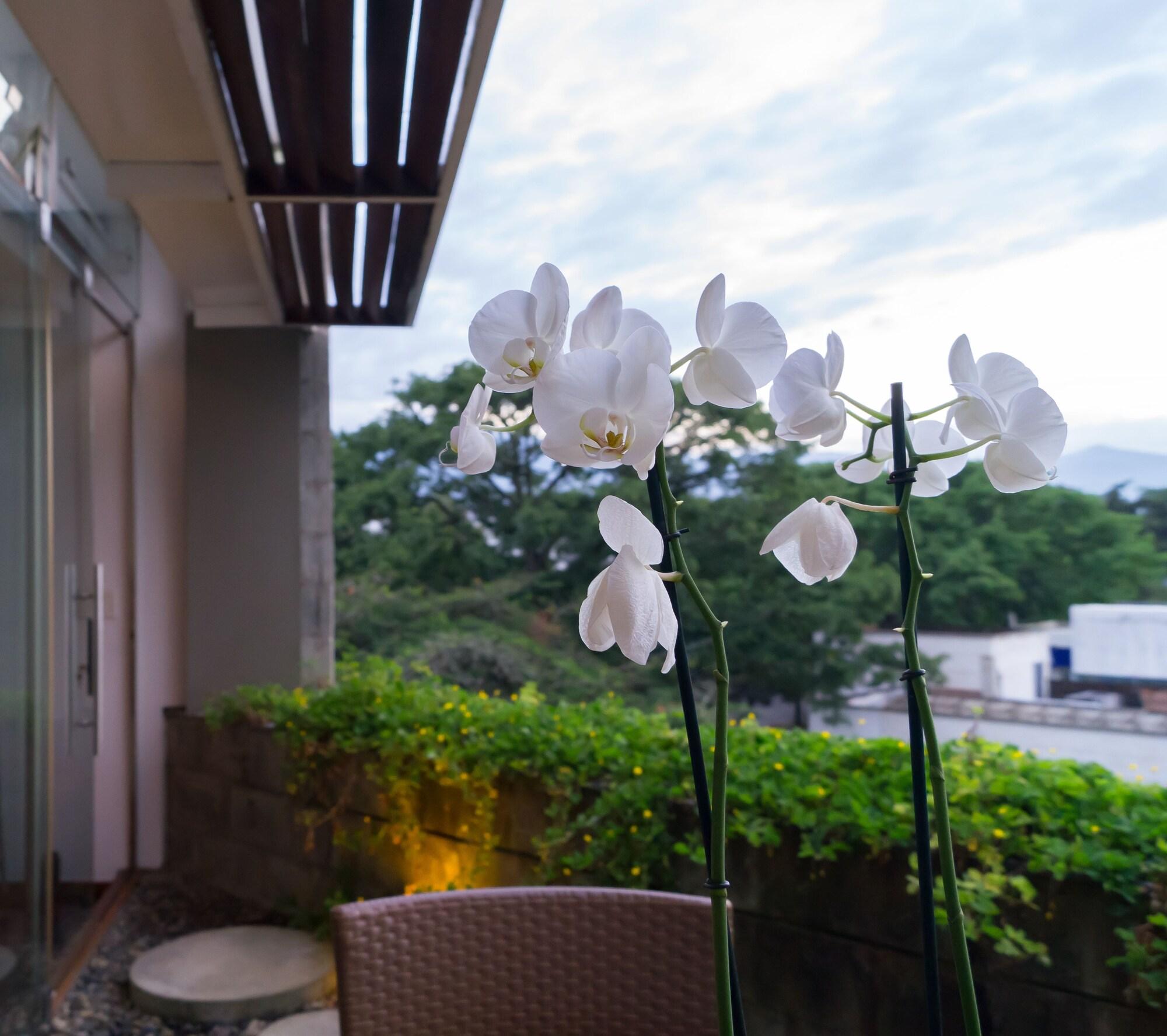 Hotel Acquasanta Lofts Cali