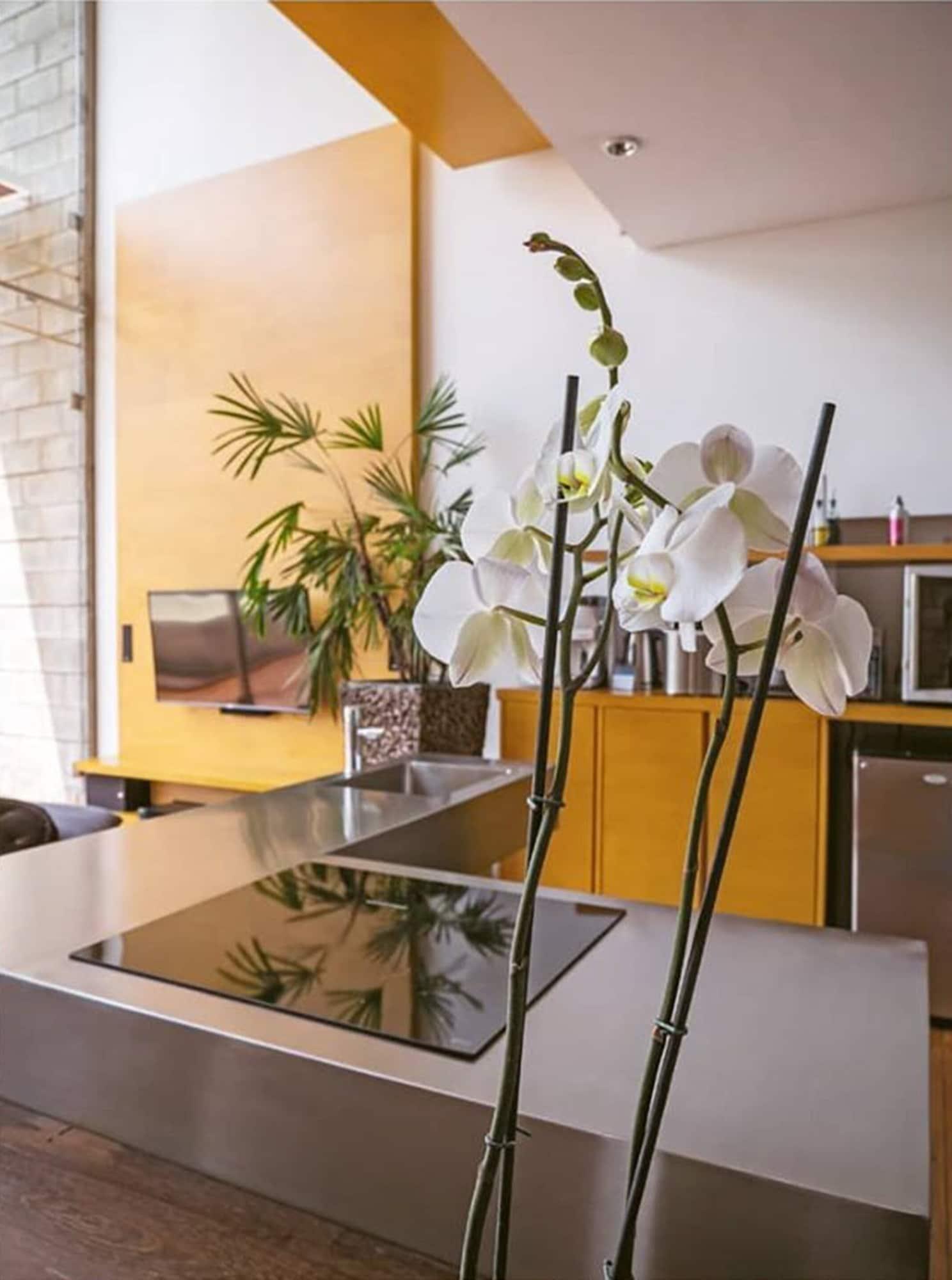 Acquasanta Lofts Hotel Cali