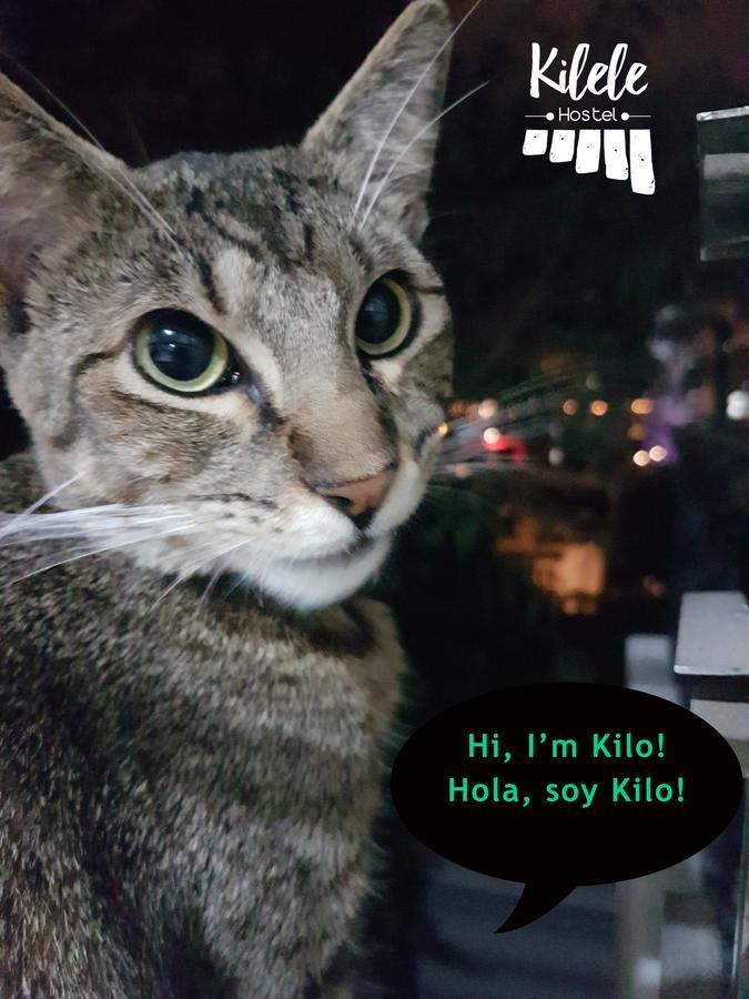 Kilele Pensión Cali