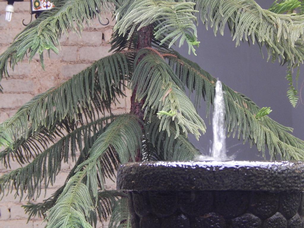 Bed and breakfast De San Antonio 2*