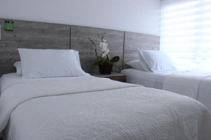 Ari Hotel 2*