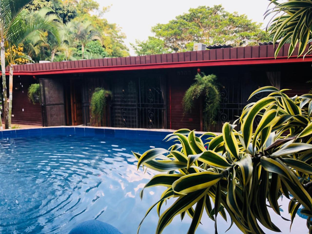 Campestre Blue Element's Cali