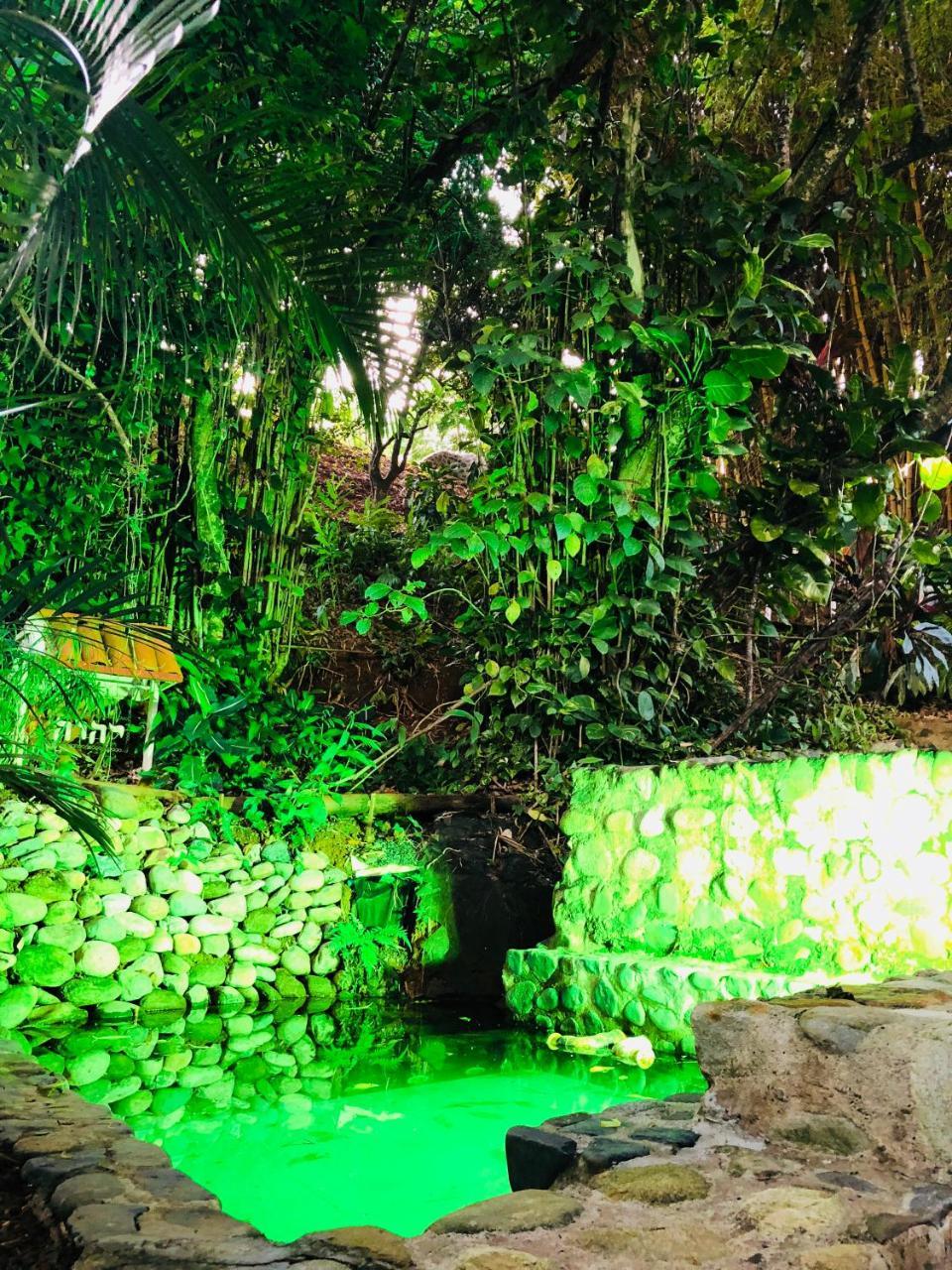 Campestre Blue Element's Cali