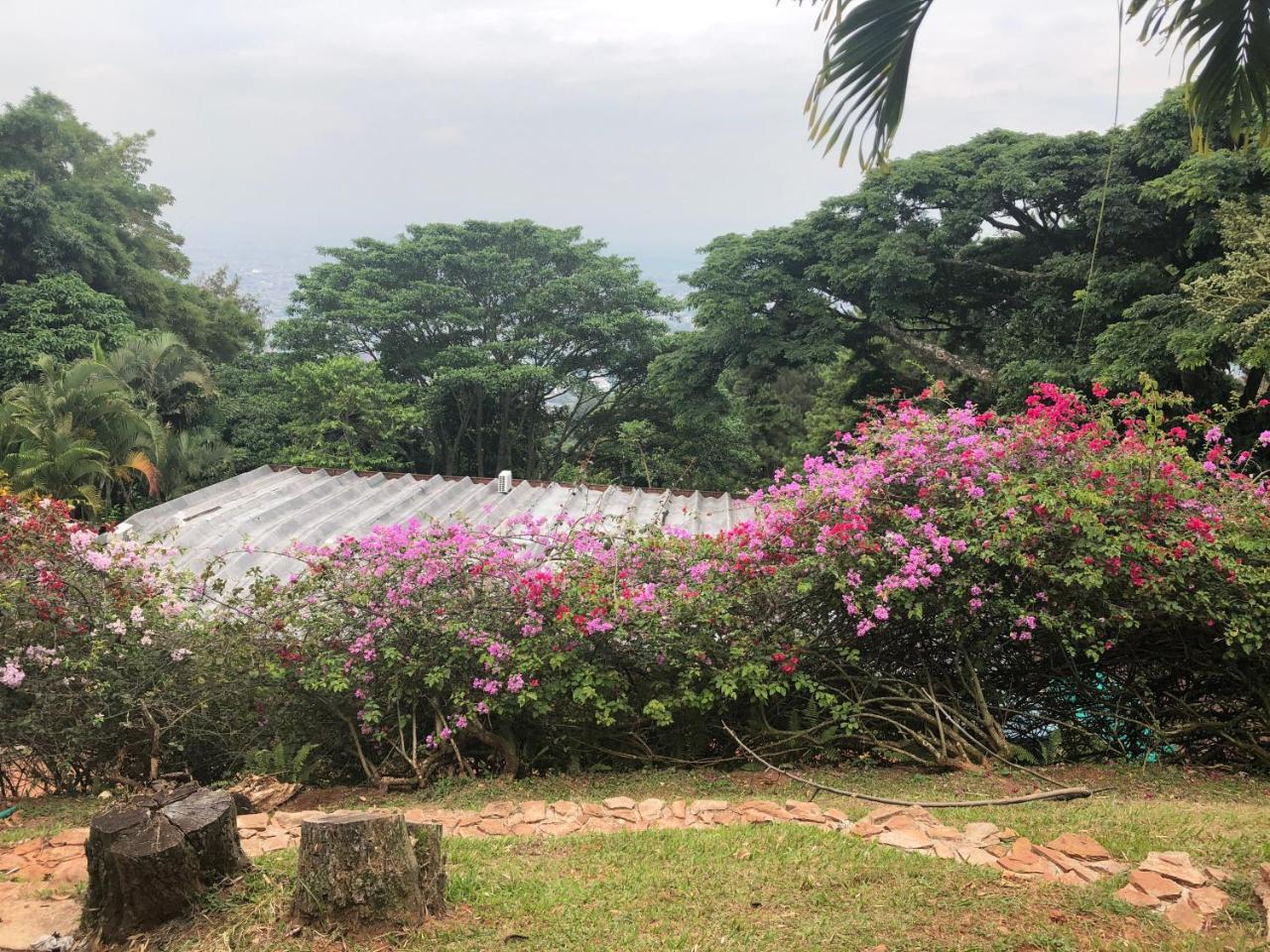 Campestre Blue Element's Lodge Cali