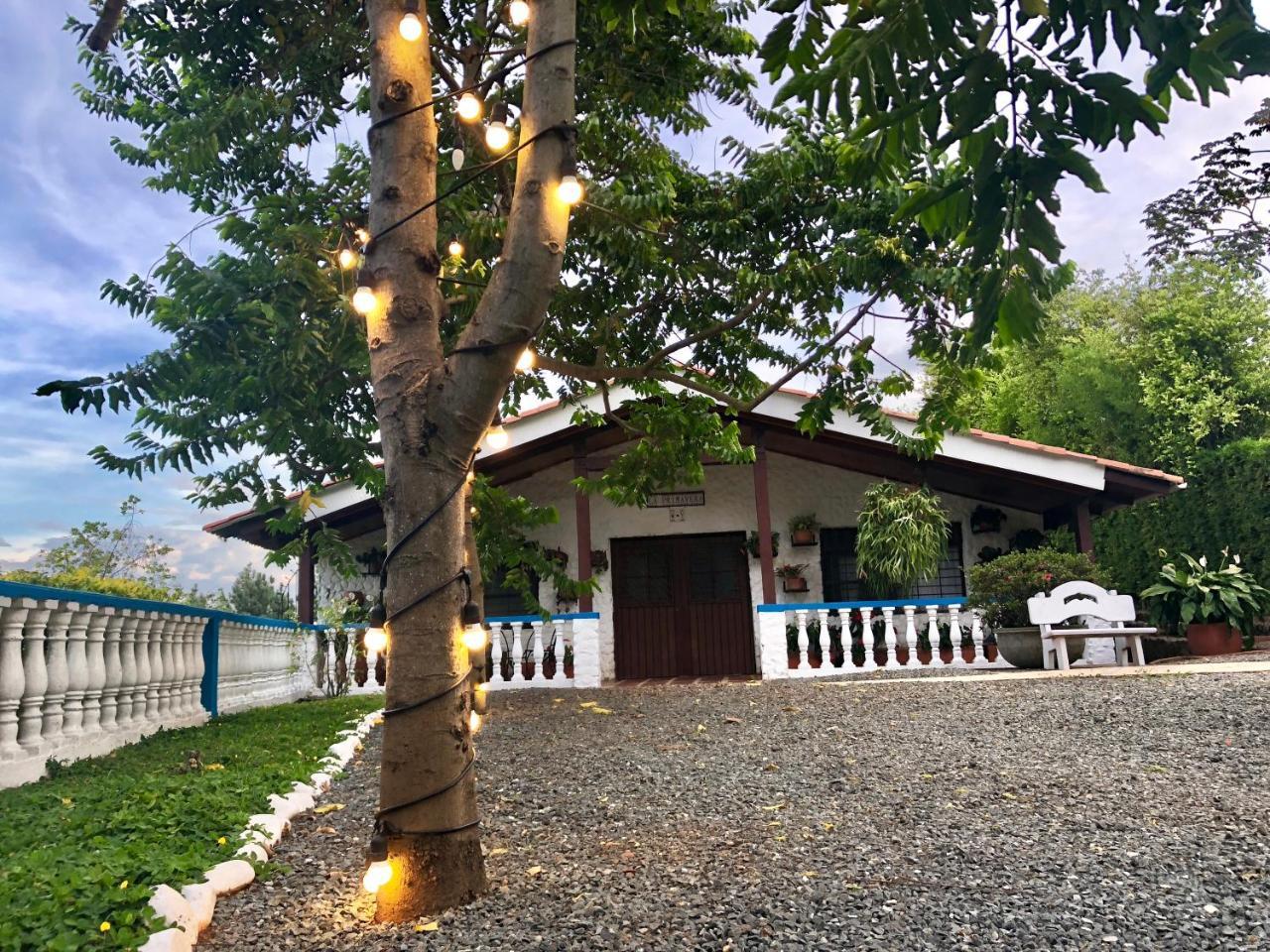 Campestre Blue Element's * Cali